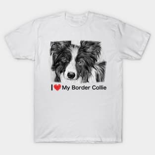 Border Collie Stare T-Shirt